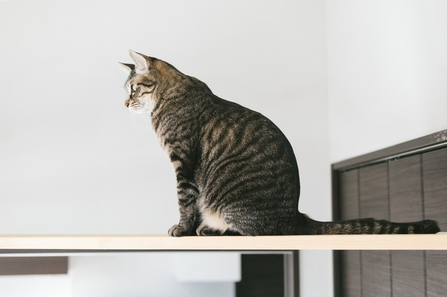 f:id:takuteto:20180418213628j:plain f:id:takuteto:20180418213628j:plain