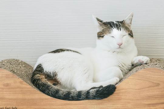 f:id:takuteto:20180418214309j:plain f:id:takuteto:20180418214309j:plain