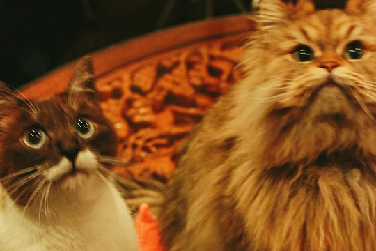 f:id:takuteto:20180505020853j:plain