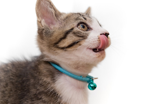 f:id:takuteto:20180506013940j:plain f:id:takuteto:20180506013940j:plain