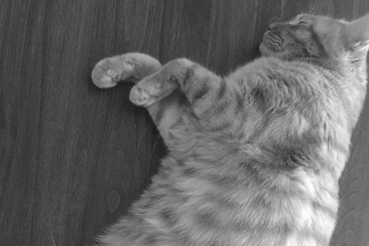 f:id:takuteto:20180508171115j:plain