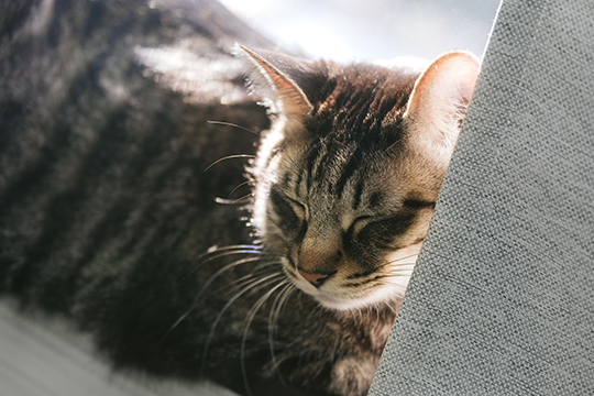 f:id:takuteto:20180516230453j:plain