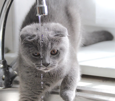 f:id:takuteto:20190111124911j:plain