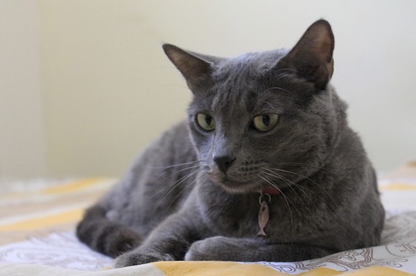 f:id:takuteto:20190509125239j:plain f:id:takuteto:20190509125239j:plain