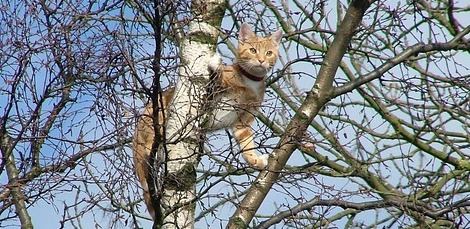 f:id:takuteto:20190609172900j:plain f:id:takuteto:20190609172900j:plain