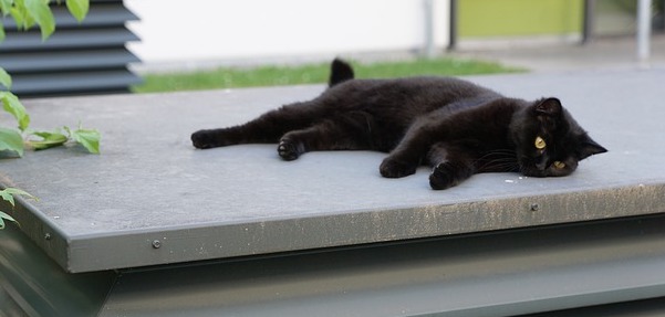 f:id:takuteto:20190615162246j:plain