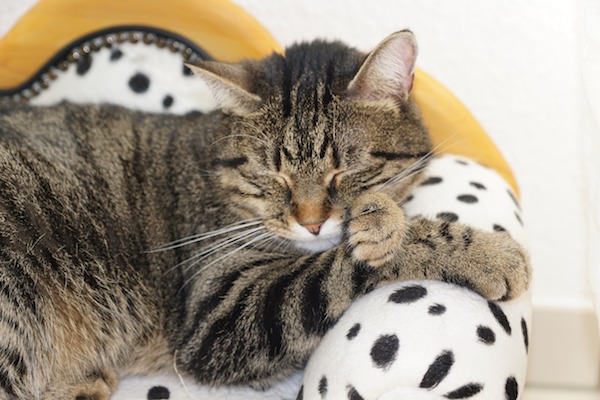 f:id:takuteto:20190621084436j:plain f:id:takuteto:20190621084436j:plain