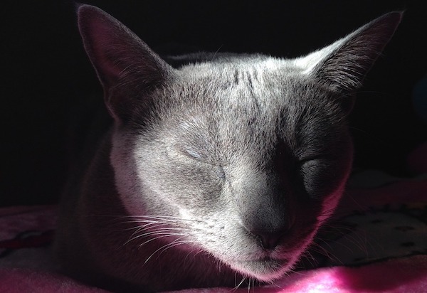 f:id:takuteto:20190725125851j:plain f:id:takuteto:20190725125851j:plain