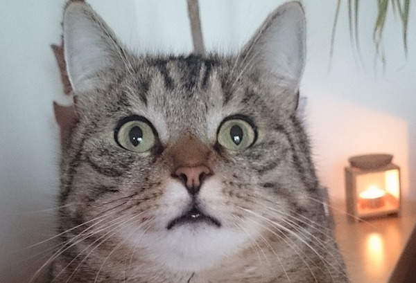 f:id:takuteto:20190802125842j:plain