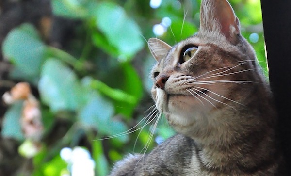 f:id:takuteto:20190825233322j:plain f:id:takuteto:20190825233322j:plain