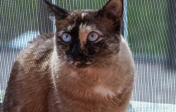 f:id:takuteto:20190909230048j:plain f:id:takuteto:20190909230048j:plain