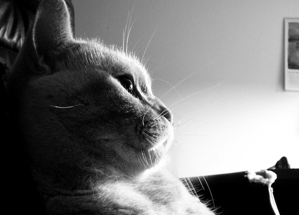 f:id:takuteto:20191022144432j:plain f:id:takuteto:20191022144432j:plain