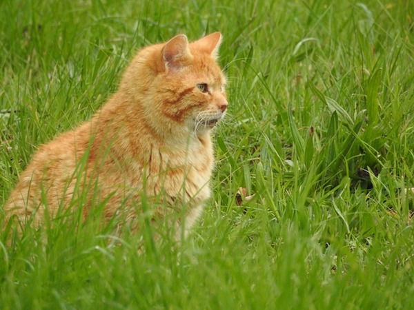 f:id:takuteto:20191026140816j:plain f:id:takuteto:20191026140816j:plain