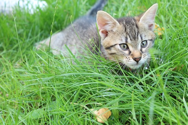 f:id:takuteto:20200113184101j:plain