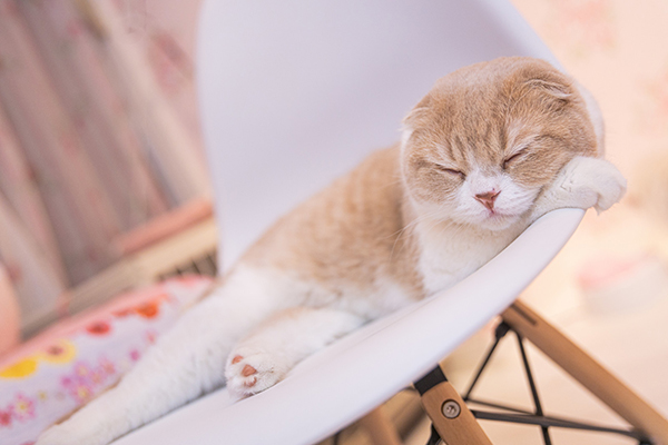 f:id:takuteto:20200319183146j:plain f:id:takuteto:20200319183146j:plain