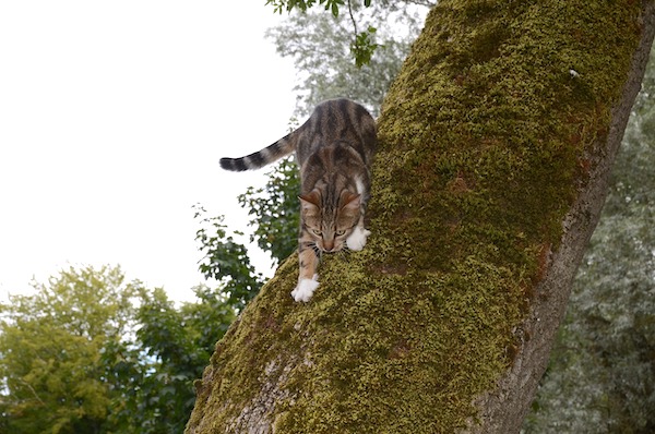 f:id:takuteto:20200505025830j:plain f:id:takuteto:20200505025830j:plain