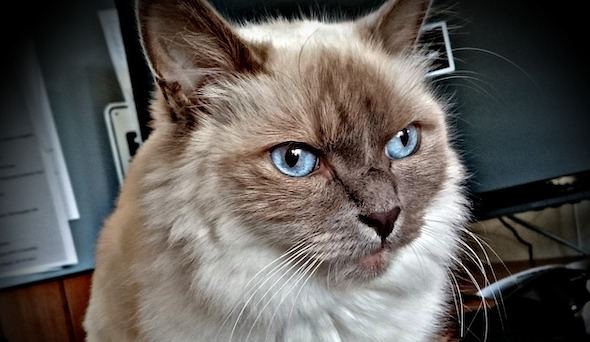 f:id:takuteto:20200610091112j:plain