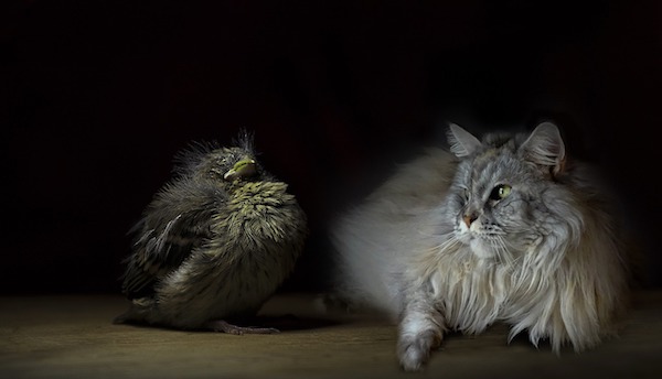 f:id:takuteto:20200629112041j:plain f:id:takuteto:20200629112041j:plain