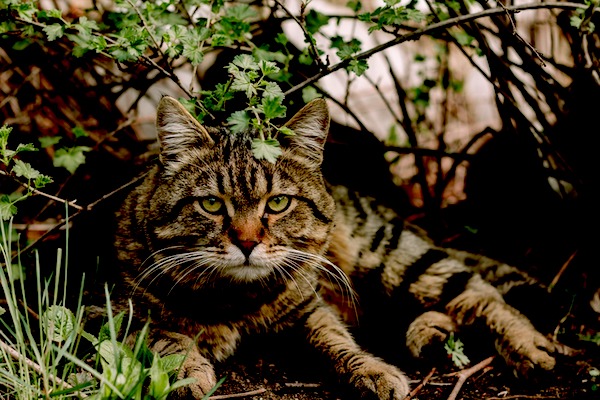 f:id:takuteto:20200731164203j:plain f:id:takuteto:20200731164203j:plain