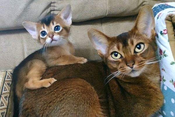 f:id:takuteto:20200802155037j:plain f:id:takuteto:20200802155037j:plain