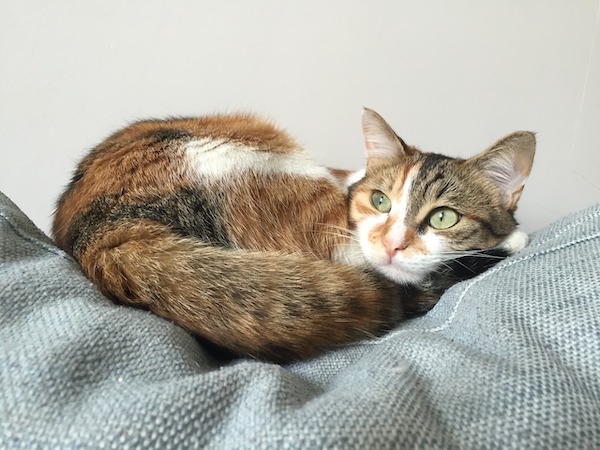 f:id:takuteto:20200812172214j:plain