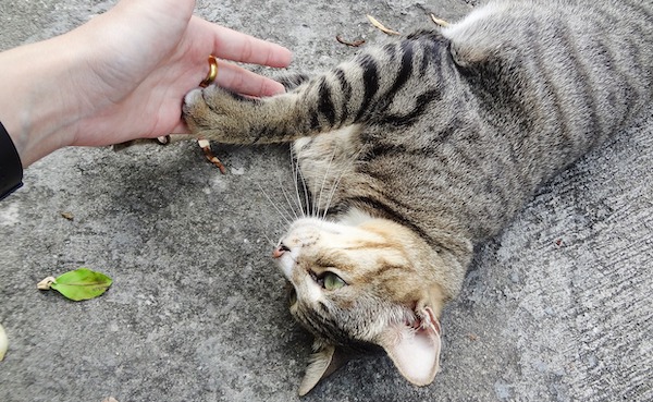 f:id:takuteto:20200812172314j:plain