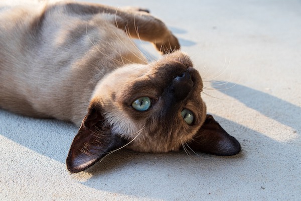 f:id:takuteto:20200828012132j:plain f:id:takuteto:20200828012132j:plain