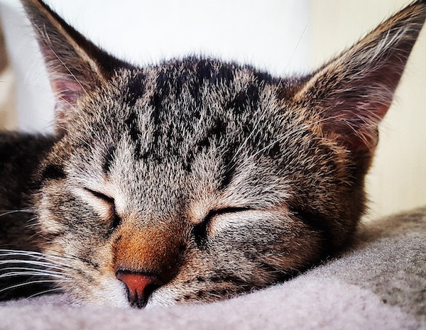 f:id:takuteto:20200917173424j:plain f:id:takuteto:20200917173424j:plain