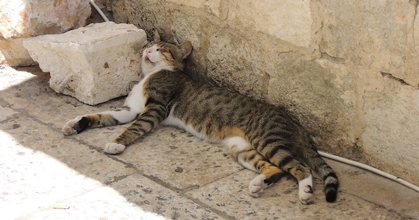 f:id:takuteto:20200917173631j:plain