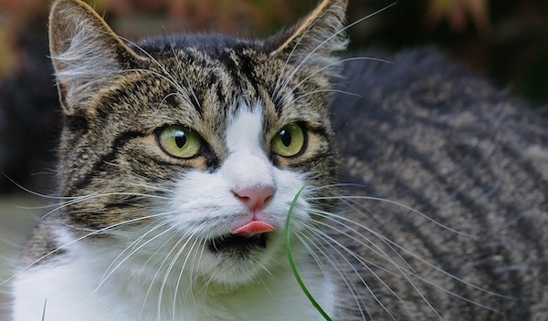 f:id:takuteto:20201004225428j:plain