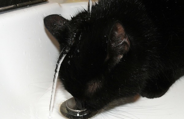 f:id:takuteto:20201104211103j:plain