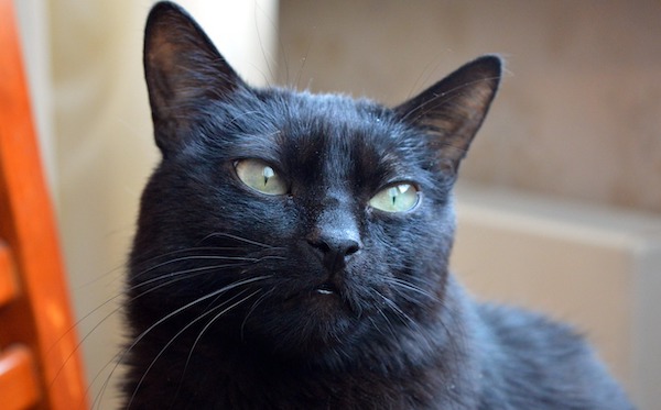 f:id:takuteto:20201104211123j:plain