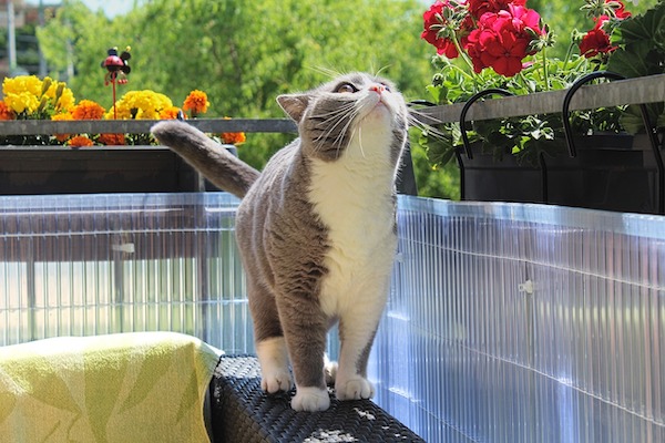 f:id:takuteto:20201128181147j:plain