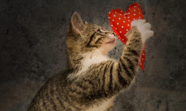 f:id:takuteto:20201219213358j:plain