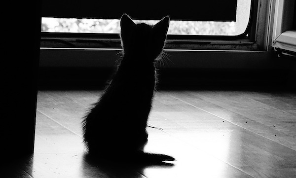 f:id:takuteto:20210116221118j:plain