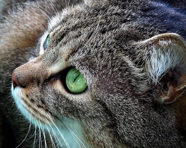 f:id:takuteto:20210203183326j:plain