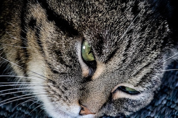 f:id:takuteto:20210203183404j:plain