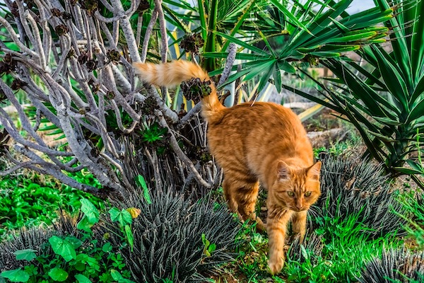 f:id:takuteto:20210303094622j:plain