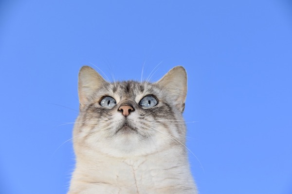 f:id:takuteto:20210311073859j:plain