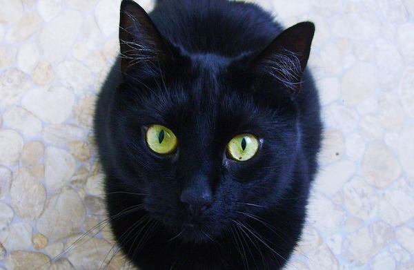 f:id:takuteto:20210320095335j:plain