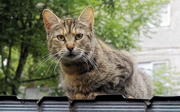 f:id:takuteto:20210412144828j:plain