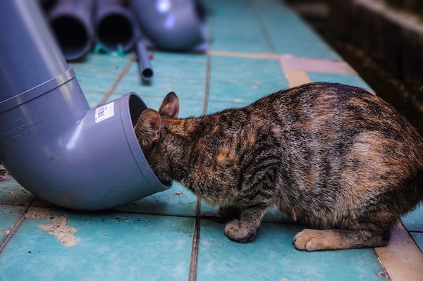 f:id:takuteto:20210514202256j:plain