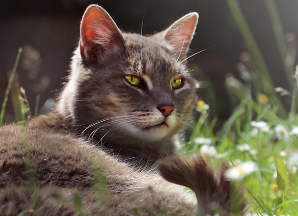 f:id:takuteto:20210530230757j:plain