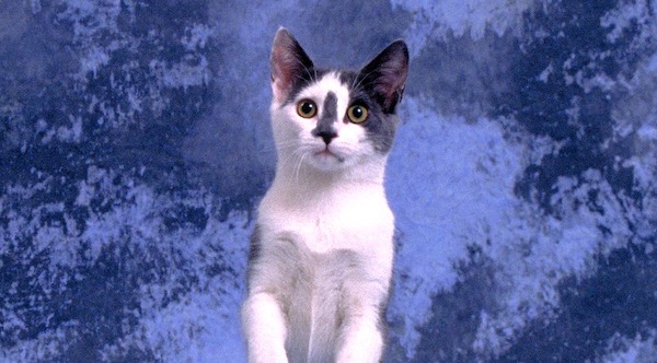 f:id:takuteto:20210624225817j:plain