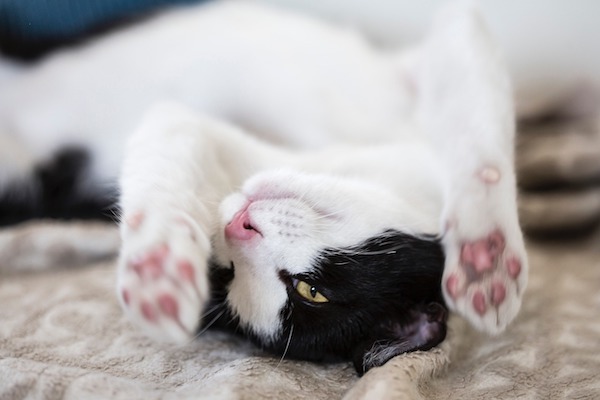f:id:takuteto:20210713200602j:plain