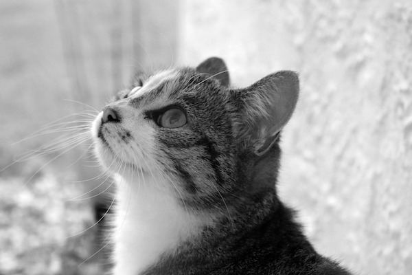 f:id:takuteto:20210722003140j:plain