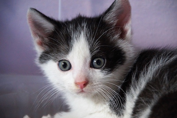 f:id:takuteto:20210916220243j:plain