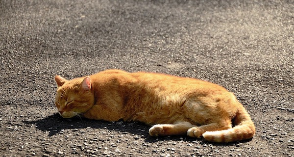 f:id:takuteto:20211128205456j:plain