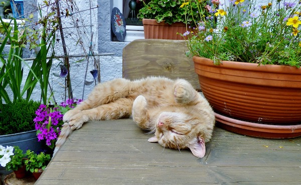 f:id:takuteto:20211128210441j:plain