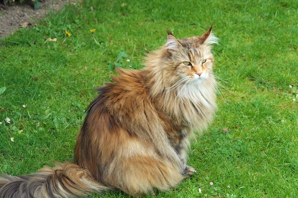 f:id:takuteto:20211213084322j:plain